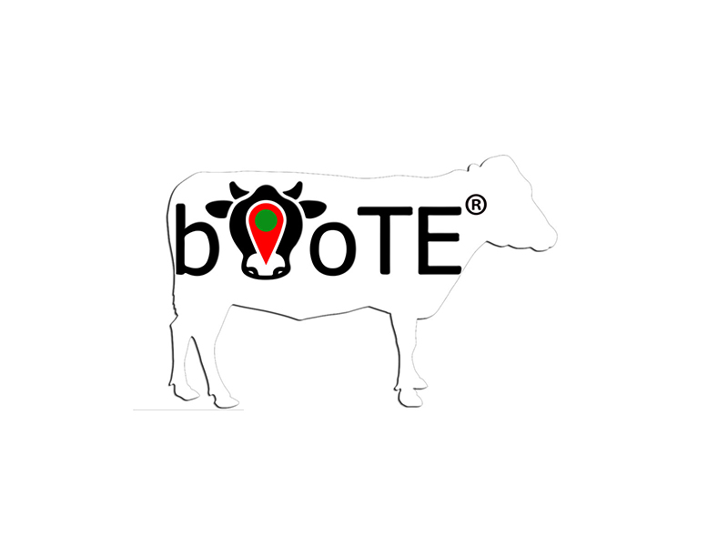 Logo Boote